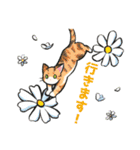 はなとねこ（個別スタンプ：3）