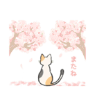 はなとねこ（個別スタンプ：4）