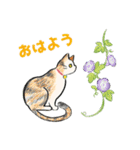 はなとねこ（個別スタンプ：5）