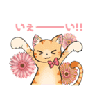 はなとねこ（個別スタンプ：10）