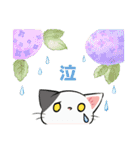 はなとねこ（個別スタンプ：11）