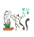 はなとねこ（個別スタンプ：12）