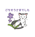 はなとねこ（個別スタンプ：18）