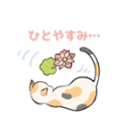 はなとねこ（個別スタンプ：20）