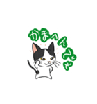 6匹にふえました猫（個別スタンプ：18）