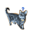 犬兎猫（個別スタンプ：1）