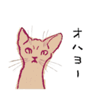 猫ゃん。（個別スタンプ：1）