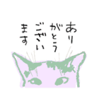 猫ゃん。（個別スタンプ：7）