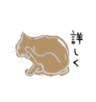 猫ゃん。（個別スタンプ：21）