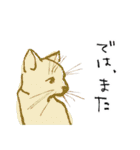 猫ゃん。（個別スタンプ：40）