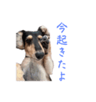 プリラとラニーとリリーの日常会話（個別スタンプ：3）