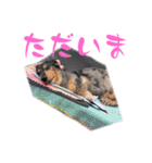 プリラとラニーとリリーの日常会話（個別スタンプ：15）