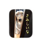プリラとラニーとリリーの日常会話（個別スタンプ：32）