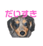プリラとラニーとリリーの日常会話（個別スタンプ：33）