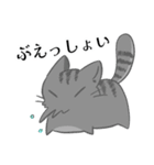 ふんわりにゃんこ♪（個別スタンプ：1）