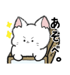 毎日ねこちゃんスタンプ（個別スタンプ：13）