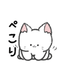 毎日ねこちゃんスタンプ（個別スタンプ：16）