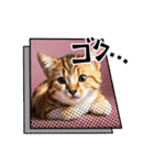 可愛い猫ちゃんのスタンプです。（個別スタンプ：15）