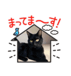 可愛い猫ちゃんのスタンプです。（個別スタンプ：27）