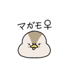 カモ図鑑（個別スタンプ：2）