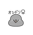 カモ図鑑（個別スタンプ：4）