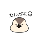 カモ図鑑（個別スタンプ：6）