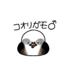 カモ図鑑（個別スタンプ：17）