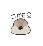 カモ図鑑（個別スタンプ：20）