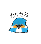 カモ図鑑（個別スタンプ：34）