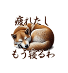 関西弁のリアル柴犬（個別スタンプ：8）