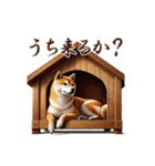 関西弁のリアル柴犬（個別スタンプ：22）