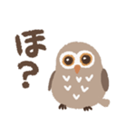 目力強いフクロウスタンプ（個別スタンプ：1）