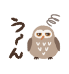 目力強いフクロウスタンプ（個別スタンプ：11）