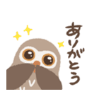 目力強いフクロウスタンプ（個別スタンプ：13）