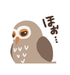 目力強いフクロウスタンプ（個別スタンプ：19）