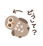 目力強いフクロウスタンプ（個別スタンプ：22）