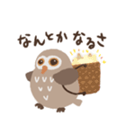 目力強いフクロウスタンプ（個別スタンプ：24）