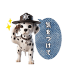 【家族連絡】ダルメシアン（個別スタンプ：5）