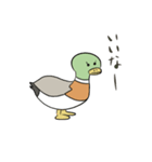 満たされないマガモ（個別スタンプ：1）