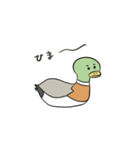 満たされないマガモ（個別スタンプ：5）