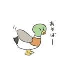 満たされないマガモ（個別スタンプ：6）