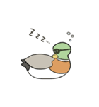 満たされないマガモ（個別スタンプ：13）