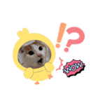 めんこい～ズ（個別スタンプ：7）