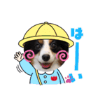 めんこい～ズ（個別スタンプ：8）