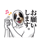 めんこい～ズ（個別スタンプ：12）