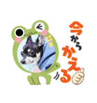 めんこい～ズ（個別スタンプ：16）