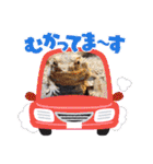 めんこい～ズ（個別スタンプ：23）