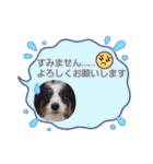 めんこい～ズ（個別スタンプ：26）