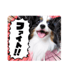 めんこい～ズ（個別スタンプ：28）