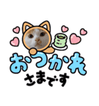 めんこい～ズ（個別スタンプ：35）